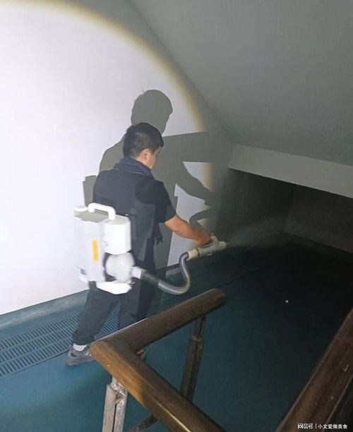 專業(yè)白蟻防治與圖文設(shè)計(jì) 杭州白蟻防治消殺中心服務(wù)指南